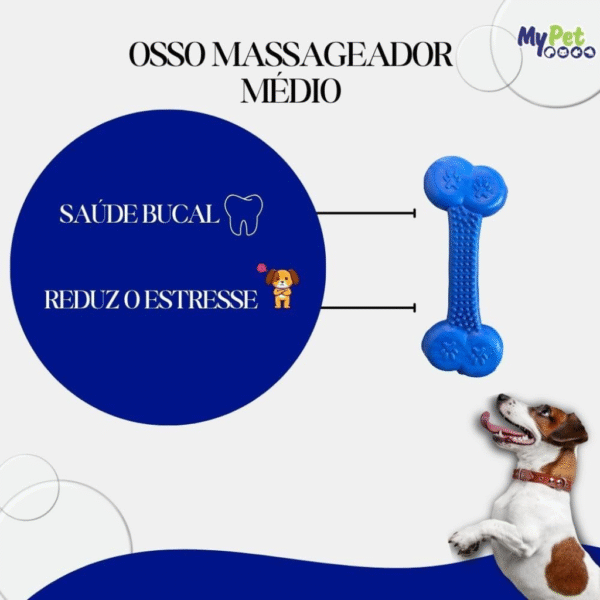 Mordedor de Nylon Resistente em Forma de Osso - Imagem 2